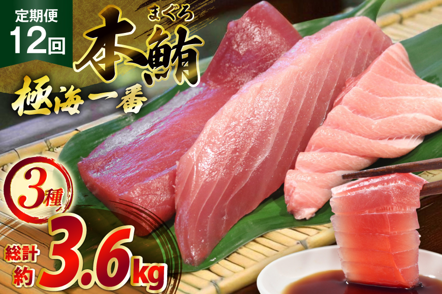マグロ 切り身 極海一番 3種 セット 300g 12回 定期便 総計3.6kg 詰め合わせ 食べ比べ [囲炉裏料理エビス亭 長崎県 平戸市 hr42bgy390026] まぐろ 刺身 料亭 赤身 中とろ 大トロ 柵 おつまみ 冷凍 高級 寿司 すし