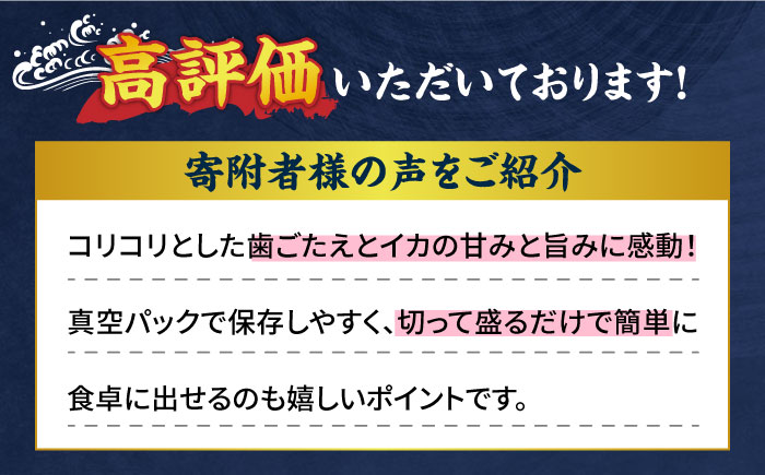 イカ 4杯 1パック（冷凍）平戸市/舘浦漁業協同組合 [KAA625]