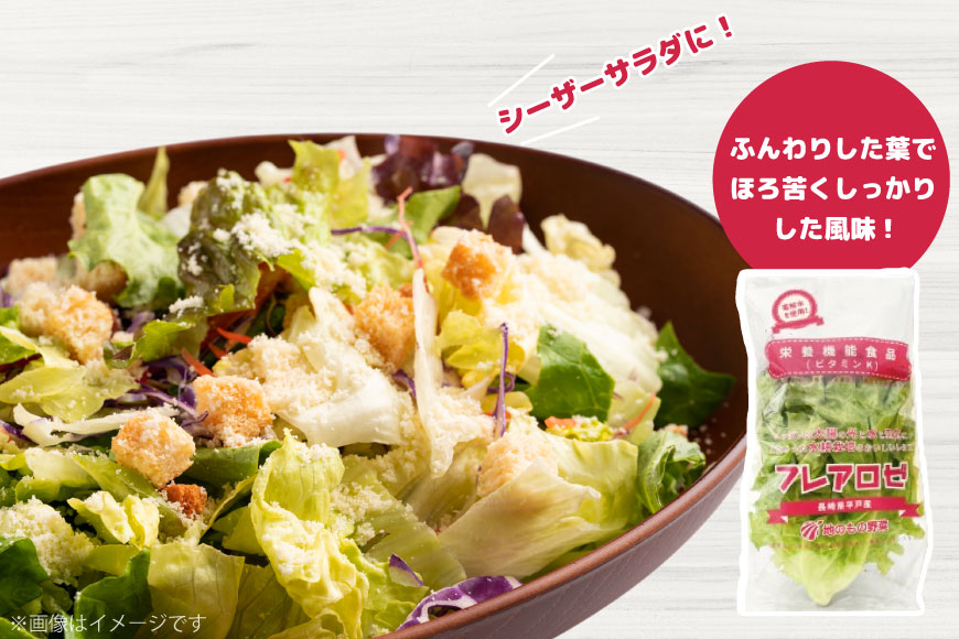 レタス 水耕栽培 4種 12袋 セット 12回 定期便 総計144袋 食べ比べ 詰め合わせ [モロフジファーム 長崎県 平戸市 hr42bgy420175] サラダ 産地直送 個包装 小分け 野菜 フレッシュ 健康志向 緑黄色野菜