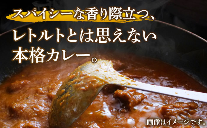 【全6回定期便】【カレー好きのためのアソートセット】カレー工房NVfoodsのカレー5種（11袋）詰め合わせセット [KAB289]