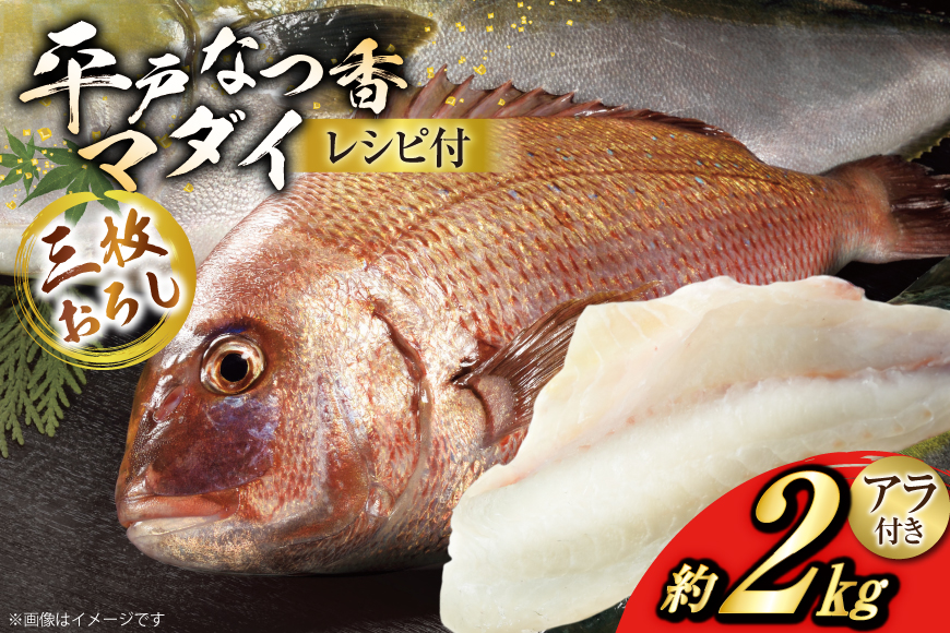 タイ 刺身 平戸なつ香 鯛 丸々 1匹 約2kg 3枚おろし アラ付き セット [坂野水産 長崎県 平戸市 hr42bgy420504] 魚介 さかな 刺身用 さしみ 冷蔵 おかず フルーツ魚 夏香 鮮魚 海鮮 海鮮鍋 海鮮丼 下処理済 レシピ付き 鍋 tai 煮付け あら炊き