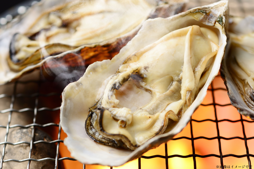 【期間限定発送】 殻付き牡蠣 生食可 生牡蠣 約2kg 8〜10個前後 [北川水産 長崎県 平戸市 hr42bgy400230] 牡蠣 岩牡蠣 殻付 かき カキ イワガキ 岩ガキ いわがき