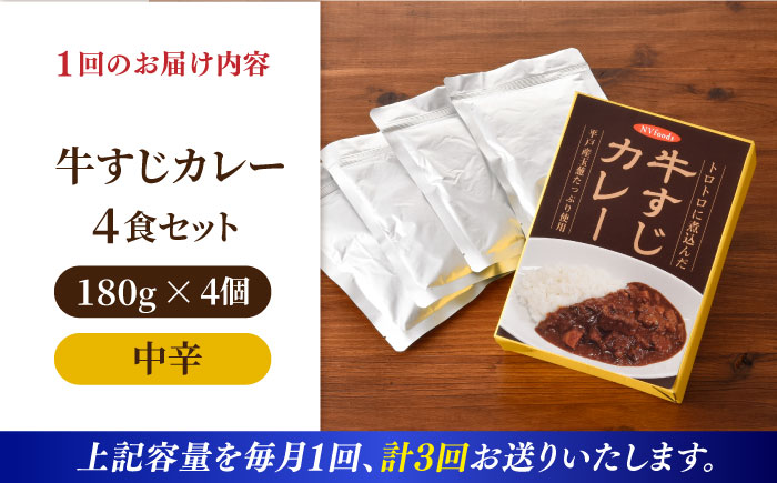 【全3回定期便】【着日指定 可能】【とろっとろになるまで煮込んだ】牛すじカレー 4食セット（中辛） 平戸市 / カレー工房 NVfoods [KAB264]