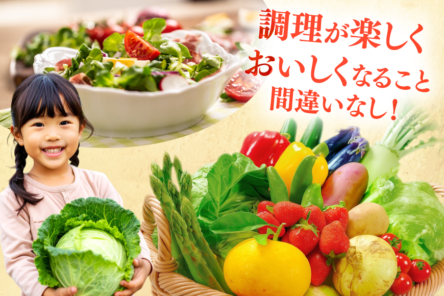 野菜 果物 ソムリエ厳選 地元野菜 果物 6回 定期便 [ひらど新鮮市場 長崎県 平戸市 hr42bgy400196] やさい くだもの フルーツ