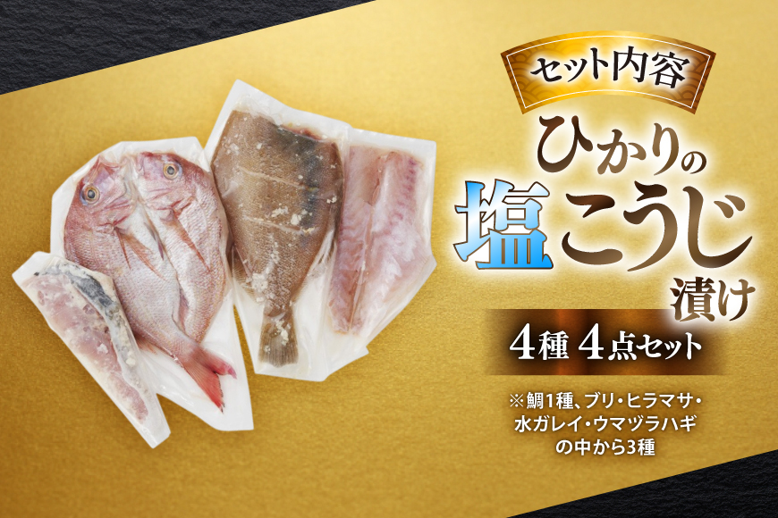 漬け魚 漬魚 塩麹 塩こうじ 魚介 詰め合わせ ひかりの塩麹 4種 セット [ひかり 長崎県 平戸市 hr42bgy420312] お茶漬け 焼き魚 焼魚 鯛 鯛めし ブリ 鰤 海鮮 漬け づけ 漬け丼 鮮魚 お取り寄せ ギフト 魚 切り身 冷凍 真空 真空パック 個包装 小分け お取り寄せ