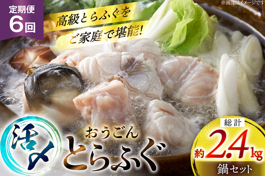 ふぐ 鍋 セット 活〆 おうごんとらふぐ 鍋セット 約400g 6回 定期便 総計 約2.4kg [松永水産 長崎県 平戸市 hr42bgy400159] とらふぐ フグ 河豚 てっちり ふぐちり ふぐ料理 魚介 さかな 切り身 冷凍 海鮮 ふぐ鍋 唐揚げ ポン酢