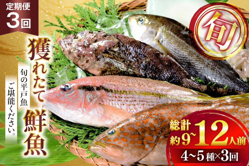 魚 海鮮 地魚 詰合せ4〜5種類 3回 定期便 [ひらど新鮮市場 長崎県 平戸市 hr42bgy400190] さかな 詰め合わせ 鮮魚