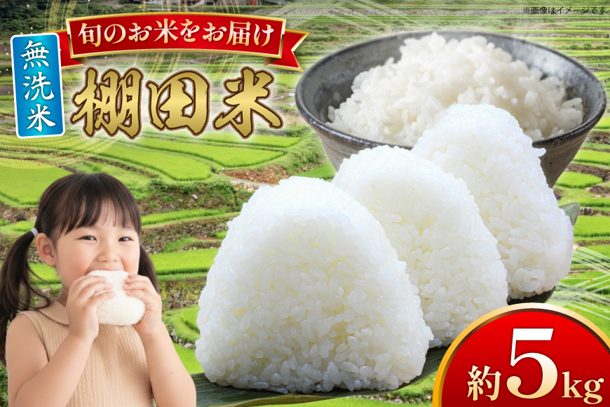 米 令和7年 無洗米 棚田米 5kg [ひらど新鮮市場 長崎県 平戸市 hr42bgy400199] 令和7年産 コメ こめ ごはん ご飯 こしひかり ひのひかり にこまる なつほのか