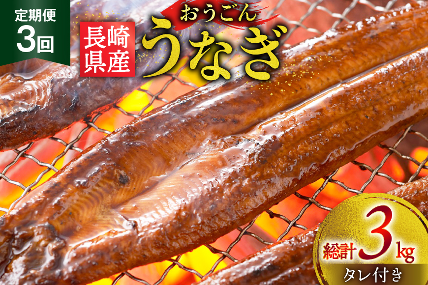 うなぎ 国産 蒲焼 長崎県産 おうごんうなぎ 松 セット 約1kg 6尾〜8尾 3回 定期便 総計 約3kg [松永水産 長崎県 平戸市 hr42bgy400019] 鰻 うな重 うな丼 ひつまぶし 蒲焼き かばやき タレ付き 養殖 国内産 冷凍 unagi