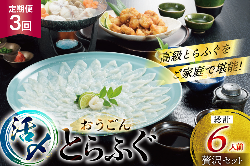ふぐ 刺身 ふぐ鍋セット 活〆 おうごんとらふぐ 贅沢セット 2人前 3回 定期便 [松永水産 長崎県 平戸市 hr42bgy400072] ふぐ刺し とらふぐ フグ 河豚 てっさ てっちり ふぐ鍋 湯引き 魚介 さかな お刺身 刺身用 さしみ 冷凍 海鮮