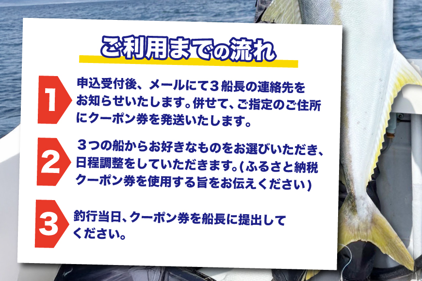 釣り船 遊漁船 クーポン 3000円分[南部遊漁船組合 長崎県 平戸市 hr42bjw920000] ジギング エギング ルアー 初心者歓迎 釣り フィッシング 船釣り 体験 レジャー 船 魚 つり さかな チケット 観光