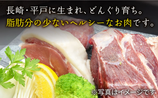 平戸産猪肉の豪華ジビエ料理セット【囲炉裏料理　エビス亭】[KAC147]