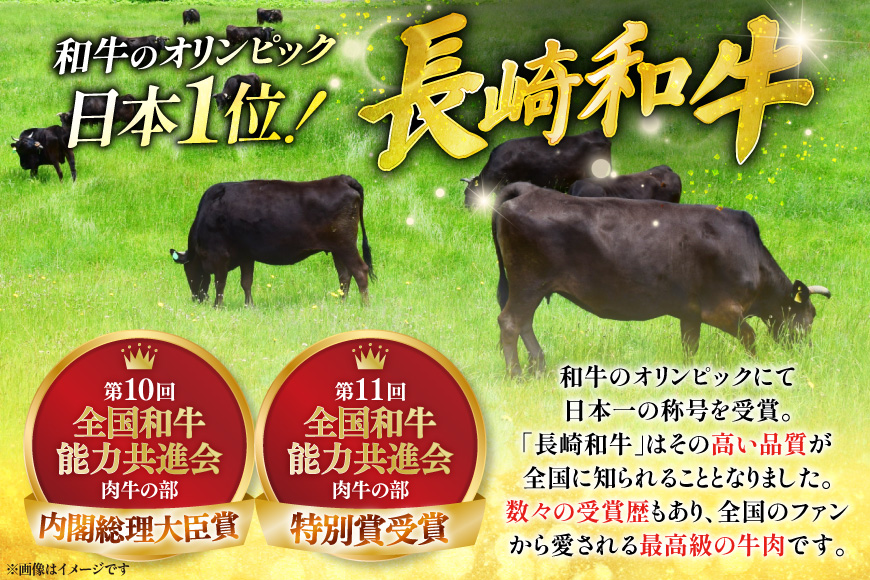 牛肉 長崎和牛 しゃぶしゃぶ用 約250g 3回 定期便 総計約 750g [萩原食肉産業 長崎県 平戸市 hr42bgy410296] 肉 お肉 和牛 国産 小分け パック 便利 冷凍  肩ロース ロース ブランド 平戸牛 国産牛 鍋