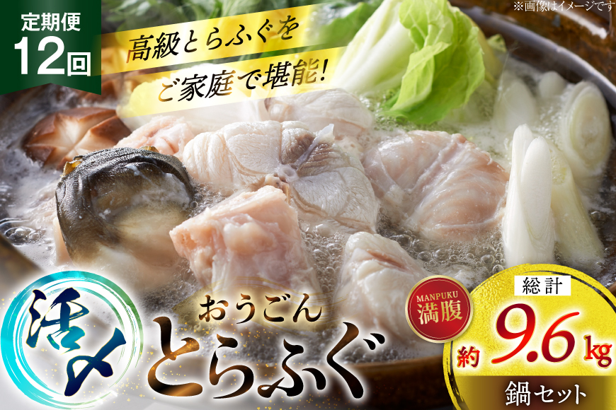 ふぐ 鍋 セット 活〆 おうごんとらふぐ 満腹 鍋セット 約800g 12回 定期便 総計 約9.6kg [松永水産 長崎県 平戸市 hr42bgy400189] とらふぐ フグ 河豚 てっちり ふぐちり ふぐ料理 魚介 さかな 切り身 冷凍 海鮮 ふぐ鍋 唐揚げ