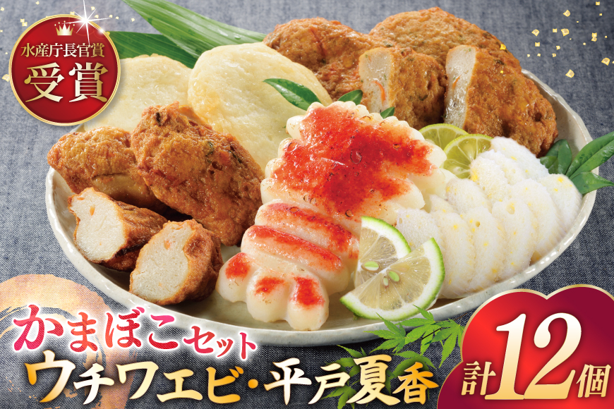 かまぼこ ウチワエビ  蒲鉾 2種 すり身揚げ 3種 詰め合わせ [宝亀かまぼこ店 長崎県 平戸市 hr42bgy420277] 練り物