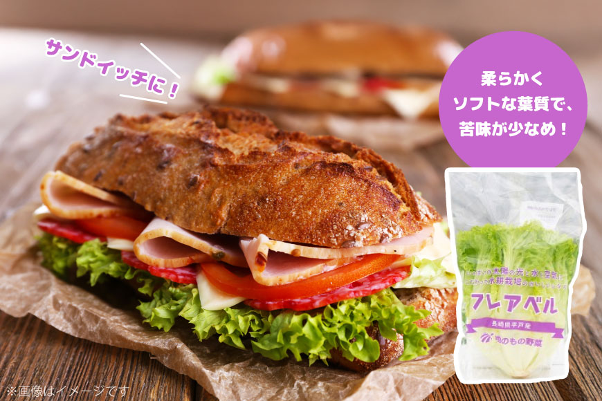 レタス 水耕栽培 4種 12袋 セット 6回 定期便 総計72袋 食べ比べ 詰め合わせ [モロフジファーム 長崎県 平戸市 hr42bgy420230] サラダ 産地直送 個包装 小分け 野菜 フレッシュ 健康志向 緑黄色野菜