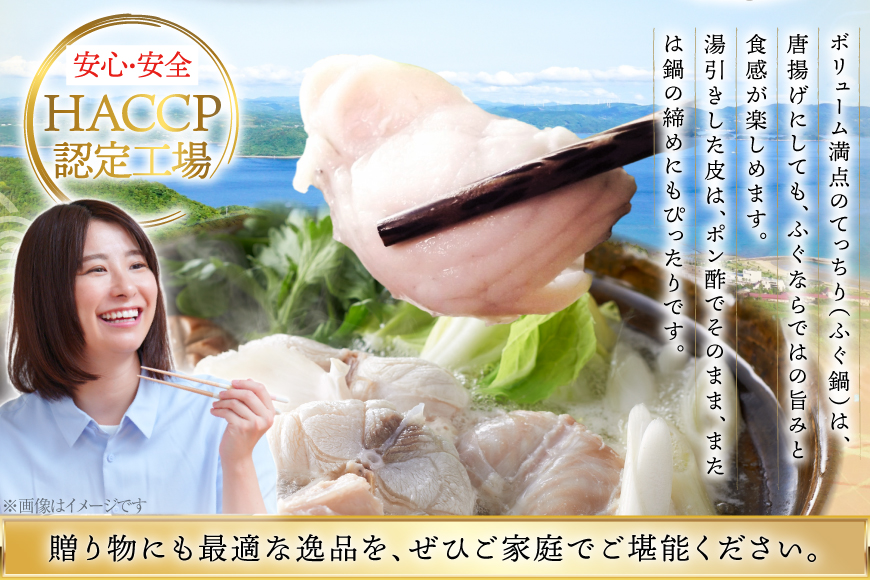 ふぐ 鍋 セット 活〆 おうごんとらふぐ 満腹 鍋セット 約800g 6回 定期便 総計 約4.8kg [松永水産 長崎県 平戸市 hr42bgy400188] とらふぐ フグ 河豚 てっちり ふぐちり ふぐ料理 魚介 さかな 切り身 冷凍 海鮮 ふぐ鍋 唐揚げ