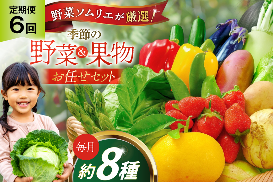野菜 果物 ソムリエ厳選 地元野菜 果物 6回 定期便 [ひらど新鮮市場 長崎県 平戸市 hr42bgy400196] やさい くだもの フルーツ