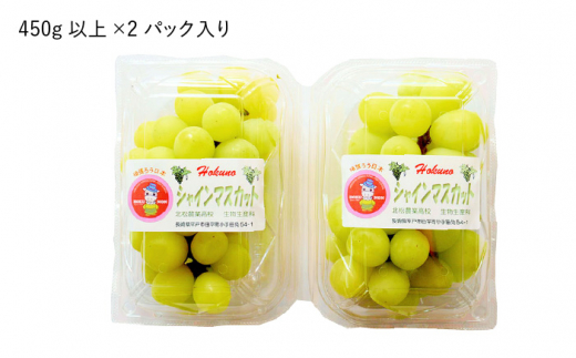 高校生が丁寧に育てた シャインマスカット 450g×2【長崎県立北松農業高等学校】[KAA204]