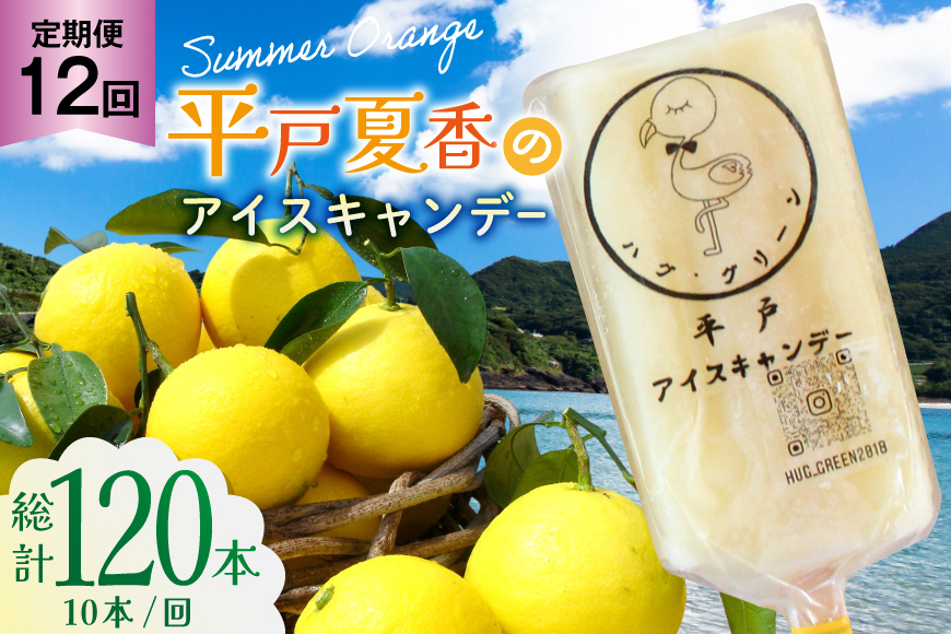 アイスキャンディー ギフト シャーベット オレンジ アイス 12回 定期便 平戸夏香のアイスキャンデー  総計120本  10本/回 [ハレルヤ合同会社 長崎県 平戸市 hr42bgy400143] スイーツ みかん ミカン 蜜柑 お取り寄せ お礼 プレゼント
