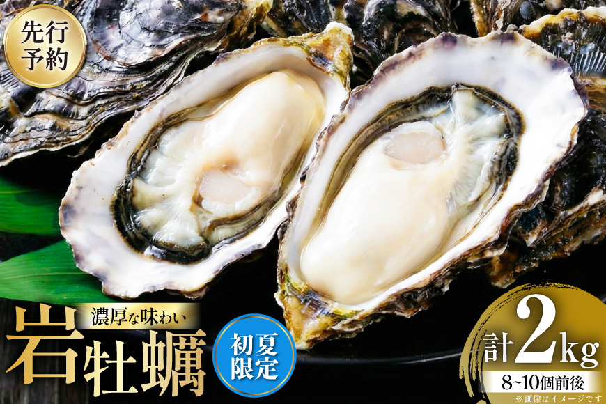 【先行予約】 【期間限定発送】 殻付き牡蠣 生食可 生牡蠣 約2kg 8〜10個前後 [北川水産 長崎県 平戸市 hr42bgy400230] 牡蠣 岩牡蠣 殻付 かき カキ イワガキ 岩ガキ いわがき
