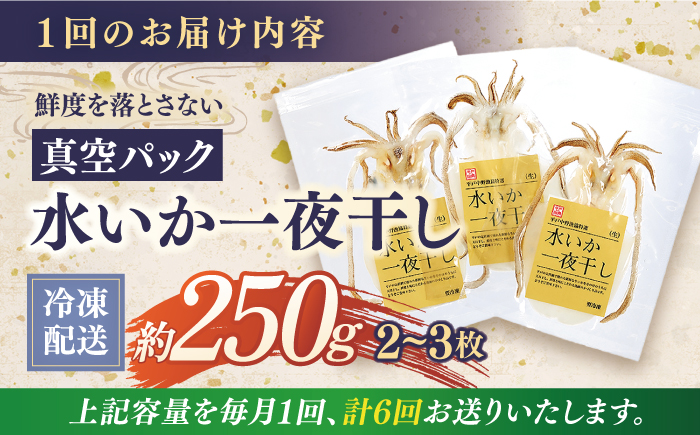 【全6回定期便】【着日指定 可能】【身が厚く柔らかい】漁師の水烏賊一夜干し 約250g（2〜3枚） 平戸市 / 中野漁業協同組合 [KAB244]