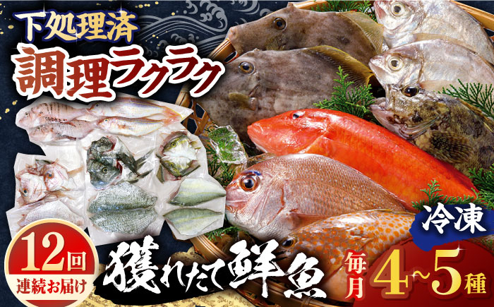 【全12回定期便】【平戸市場直送】旬の獲れたて鮮魚（冷凍）＜4〜5種類＞ 平戸市 / ひらど新鮮市場 [KAB230]