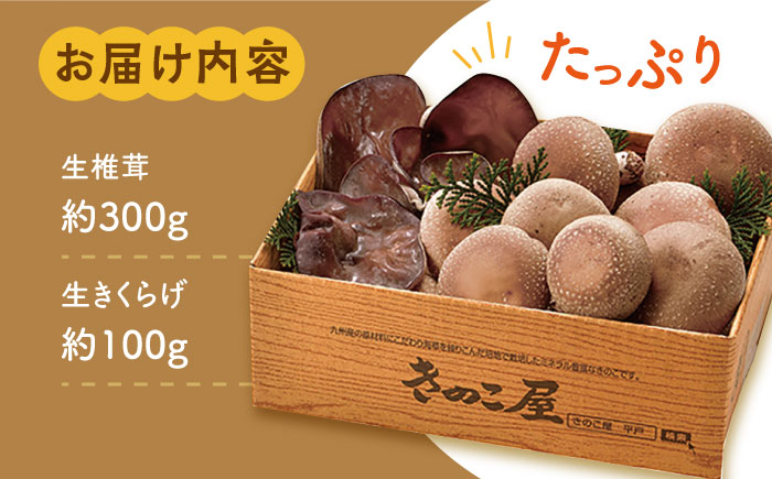 平戸 有機 きのこ 箱入りセット【有限会社　きのこ屋】[KAD068]/ 長崎 平戸 生 椎茸 きくらげ 贈物 贈答 プレゼント 