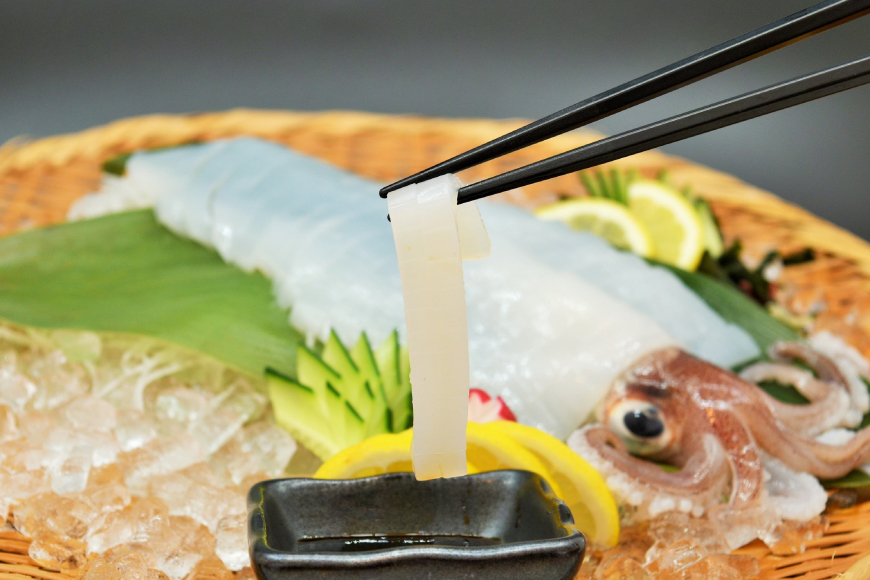 魚 まぐろ ひらめ えび イカ 平戸逸品 四季の彩り海物語 6回 定期便 [平戸さくら水産 長崎県 平戸市 hr42bgy420405] 赤身 大トロ 中トロ みそ ウチワエビ いか 干物 漬け