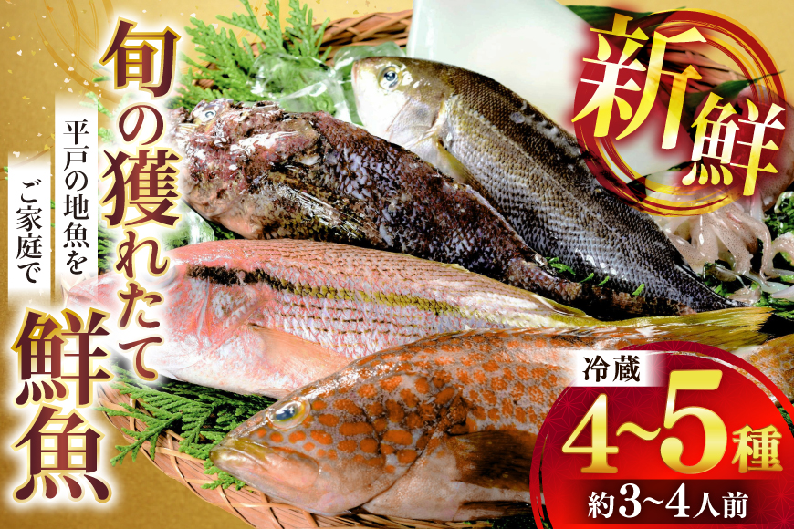 鮮魚 詰め合わせ 旬の獲れたて鮮魚 4種 〜 5種  [ひらど新鮮市場 長崎県 平戸市 hr42bgy400116] 冷蔵 直送 鮮魚セット 鮮魚詰め合わせ 海鮮 魚介 魚介類 新鮮 魚 さかな
