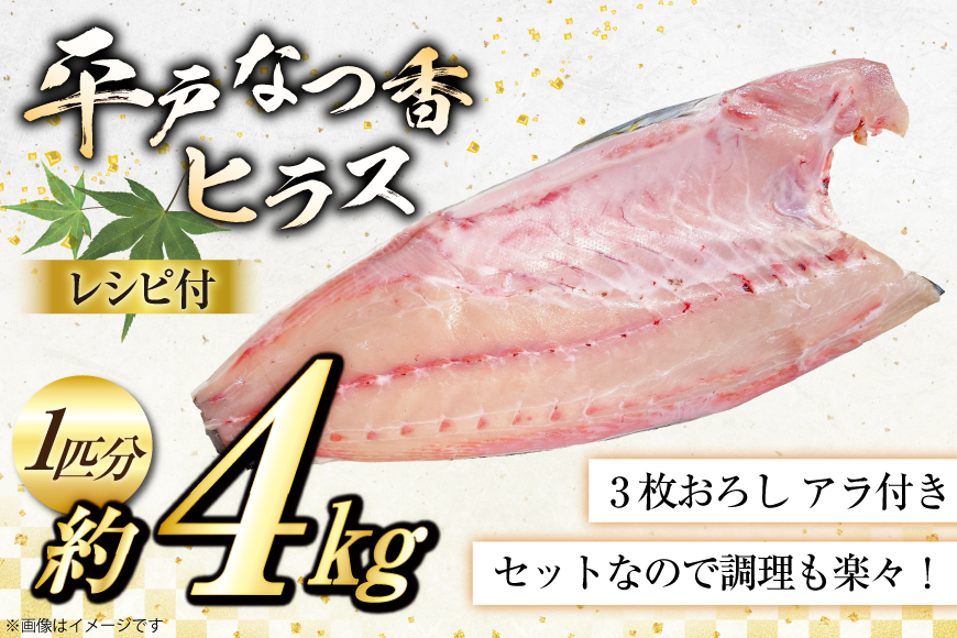 刺身 ヒラマサ 平戸なつ香 ヒラス 丸々 1匹 約4kg 3枚おろし アラ付き セット [坂野水産 長崎県 平戸市 hr42bgy420502] 魚介 さかな お刺身 刺身用 さしみ 冷蔵 下処理済 レシピ付き おかず フルーツ魚 夏香 鮮魚 海鮮 鍋 海鮮丼 生食 生食用