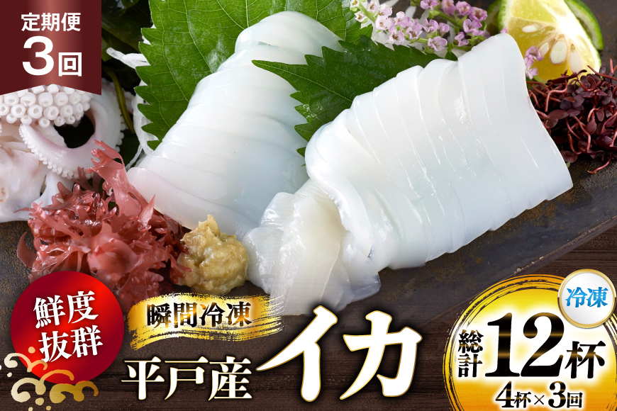 海鮮 魚介 イカ 4杯 1パック（冷凍） 3回 定期便 [舘浦漁業 長崎県 平戸市 hr42bgy420358] おつまみ 新鮮 刺身 瞬間冷凍 冷凍 コリコリ 直送 冷凍 個包装 真空パック