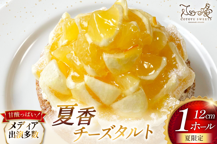 平戸特産 夏香 チーズタルト 1ホール 12cm [心優-Cotoyu sweets- 長崎県 平戸市 hr42bgy420487] タルト 柑橘 スイーツ スウィーツ デザート ギフト