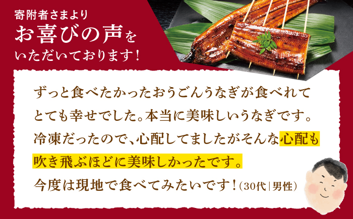 【全3回定期便】【着日指定 可能】【日本初！海水で養殖】長崎県産おうごん うなぎ 松セット 約1kg（6尾〜8尾） 平戸市 / 松永水産 うなぎ 鰻 ウナギ 土用丑の日 九州産 蒲焼 かばやき [KAB285]