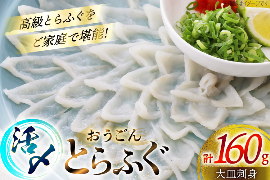 ふぐ 刺身 おうごんとらふぐ 大皿 刺身 80g×2 合計 160g [松永水産 長崎県 平戸市 hr42bgy400080] ふぐ刺し とらふぐ フグ 河豚 てっさ 魚介 さかな お刺身 刺身用 さしみ 冷凍 海鮮 高級魚