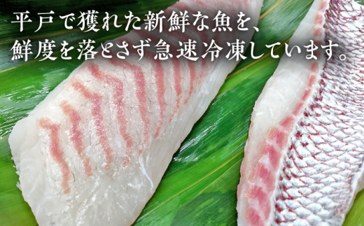 【3回定期便】鮮魚 3人前 詰め合わせ 450g【百旬館】[KAK035]/ 長崎 平戸 魚介類 魚 刺身 ブロック ヒラス ひらす ブリ ぶり 鯛 タイ たい 急速冷凍 真空 パック定期便