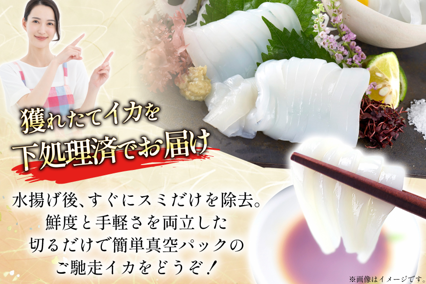 海鮮 魚介 イカ 4杯 1パック（冷凍） 12回 定期便 [舘浦漁協 長崎県 平戸市 hr42bgy420351] おつまみ 新鮮 刺身 瞬間冷凍 冷凍 コリコリ 直送 冷凍 個包装 真空パック