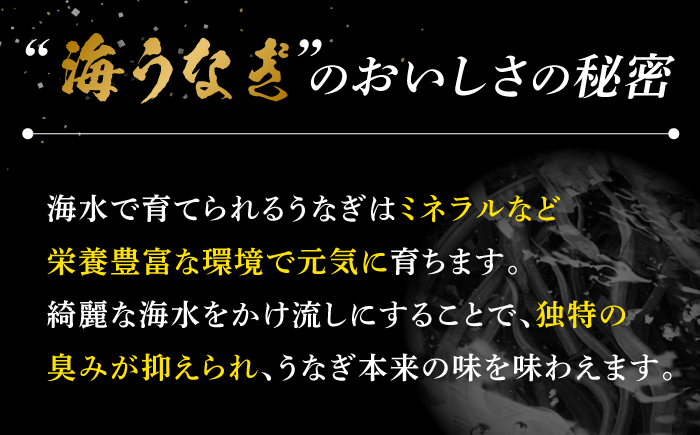 【全3回定期便】【着日指定 可能】【日本初！海水で養殖】長崎県産おうごん うなぎ 松セット 約1kg（6尾〜8尾） 平戸市 / 松永水産 うなぎ 鰻 ウナギ 土用丑の日 九州産 蒲焼 かばやき [KAB285]