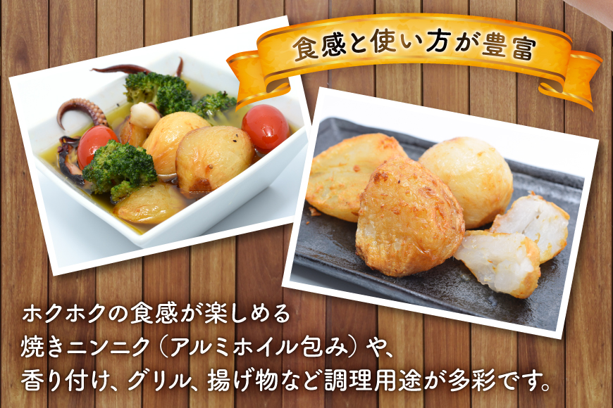 野菜 にんにく ジャンボにんにく 約2kg 【期間限定発送】 [しげさん農園 長崎県 平戸市 hr42bgy420076] ガーリック ニンニク ホクホク 大きい ビッグ ジャンボ 料理 揚げ物 グリル 味付け 香り