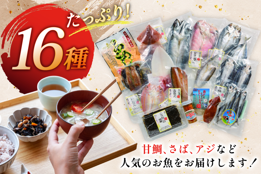 おつまみ イカ 旬魚 平戸 干物 16種 詰め合せ [森崎水産 長崎県 平戸市 hr42bgy410180] いか セット 詰合せ 干物 干物セット 一夜干し いかめし 冷凍 国産 ひもの 魚