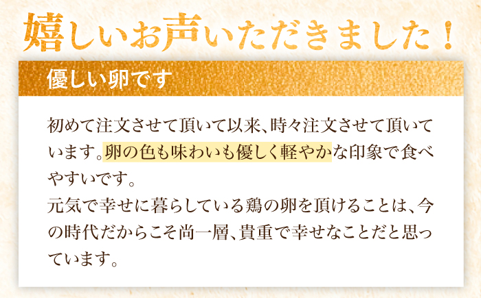 【12回定期便】平飼い放牧 卵 itadaki 24個【ナチュラルエッグラボ】[KAA257]/ 長崎 平戸 卵 純国産 鶏 平飼い もみじ