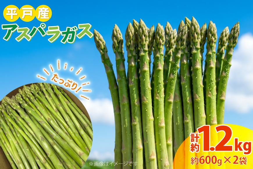アスパラガス 約600g 2袋 計約1.2kg [平戸瀬戸市場 長崎県 平戸市 hr42bgy420524] アスパラ 野菜 グリーンアスパラ 新鮮 甘い シャキシャキ 産地直送 長崎 平戸 旬 お取り寄せ 大容量 家庭用 バーベキュー BBQ