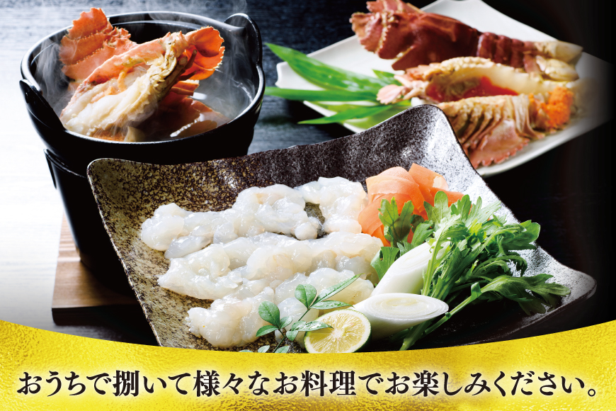 うちわえび エビ 海老 海鮮 冷凍 小分け ウチワエビ半身 約800g 10〜14切 [ひばり 長崎県 平戸市 hr42bgy420048] 魚介 海産物 鍋 刺身 刺し身 新鮮 国産 お取り寄せ