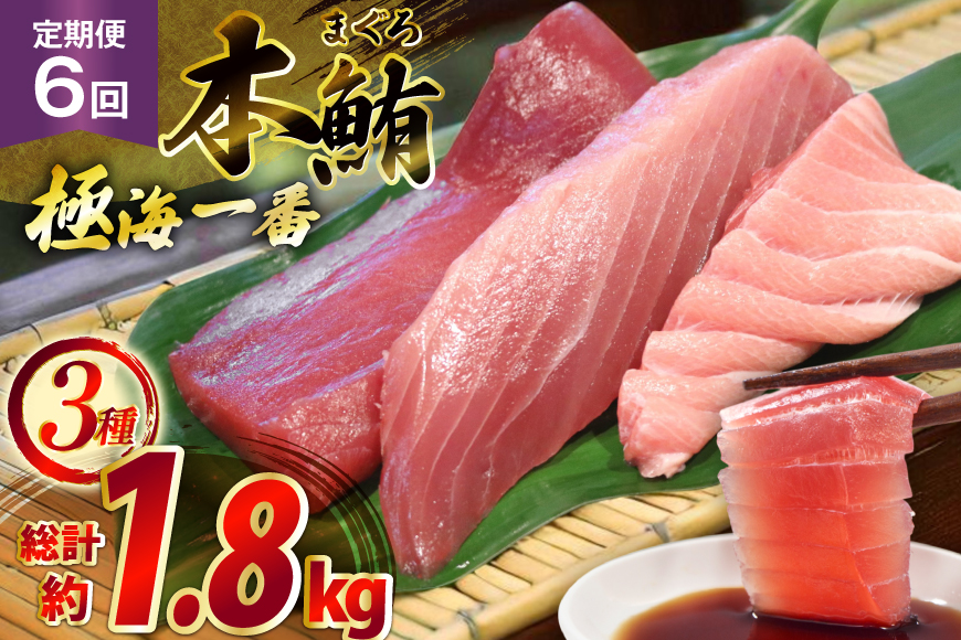マグロ 切り身 極海一番 3種 セット 300g 6回 定期便 総計1.8kg 詰め合わせ 食べ比べ [囲炉裏料理エビス亭 長崎県 平戸市 hr42bgy390025] まぐろ 刺身 料亭 赤身 中とろ 大トロ 柵 おつまみ 冷凍 高級 寿司 すし