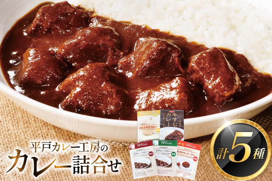 カレー セット カレー 5種 セット [カレー工房NVfoods 長崎県 平戸市 hr42bgy400100] カレー スパイス レトルト セット 詰め合わせ 食べ比べ