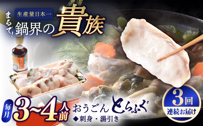 【全3回定期便】【着日指定 可能】活〆おうごんとらふぐ 鍋 セット 約400g 平戸市 / 松永水産 [KAB270]