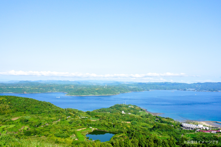 長崎 平戸 つまみあご お徳用 110g 2袋 計220g [篠崎海産物店 長崎県 平戸市 hr42bgy410220] おつまみ 常温 飛魚 ビール 国産 天然 ふるさと納税