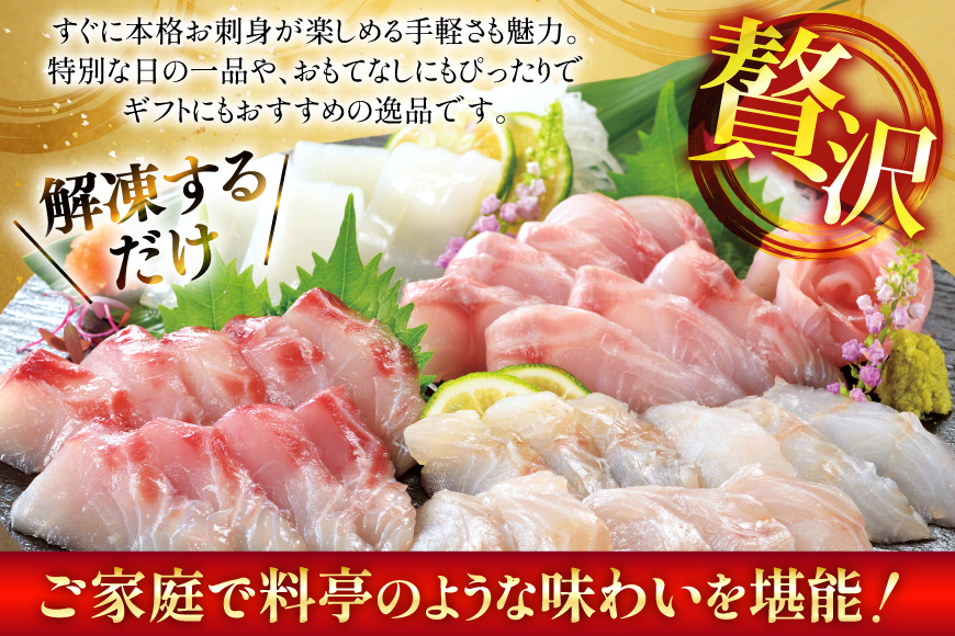 刺身 盛り合わせ 旬魚のお刺身 セット 約300g 定期便 6回 計 1.8kg [ひらど新鮮市場 長崎県 平戸市 hr42bgy400115] お刺身 魚 冷凍 冷凍便 地魚 6ヶ月 定期