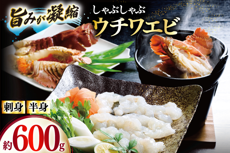うちわえび エビ 海老 刺身 しゃぶしゃぶ 海鮮 ウチワエビ刺身 約200g・ウチワエビ半身 約400g セット 総計600g [ひばり 長崎県 平戸市 hr42bgy420035] 鍋 魚介 海産物 刺し身 冷凍 新鮮 国産 お取り寄せ