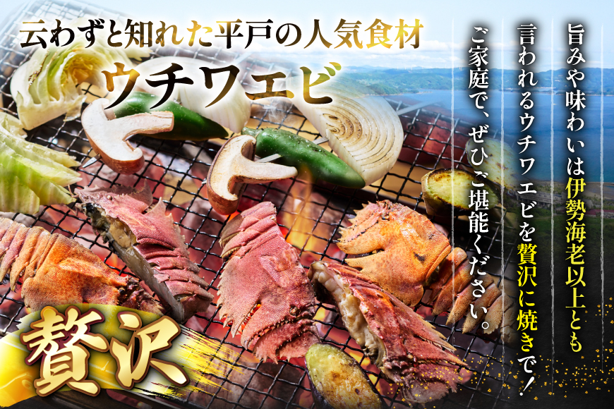 バーベキュー 海鮮 ウチワエビ BBQ セット 安心の地元 野菜付 2〜3人前 [ひらど新鮮市場 長崎県 平戸市 hr42bgy400174] バーベキューセット BBQセット 魚介 エビ 海老 えび 海鮮バーベキュー 海鮮BBQ